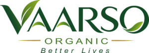 vaarso_logo_shadow